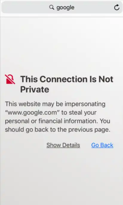 connection is not private 